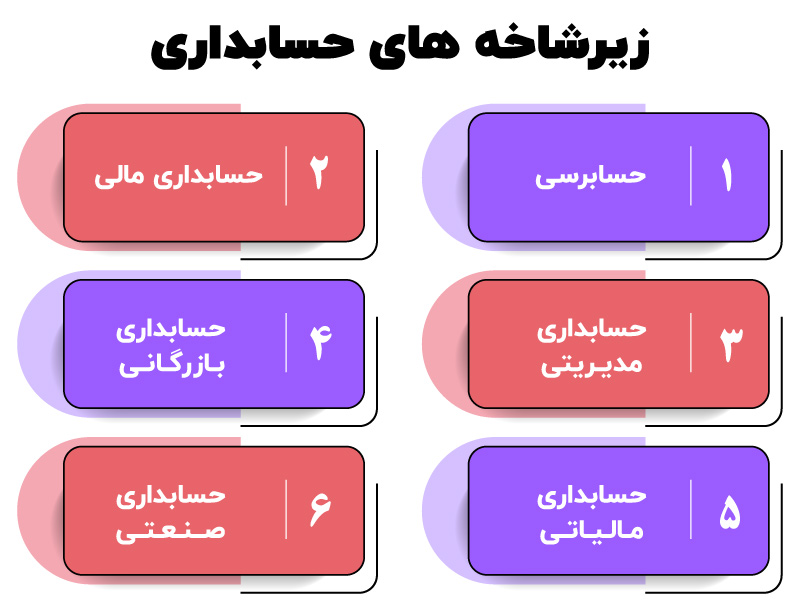زیرشاخه های حسابداری
